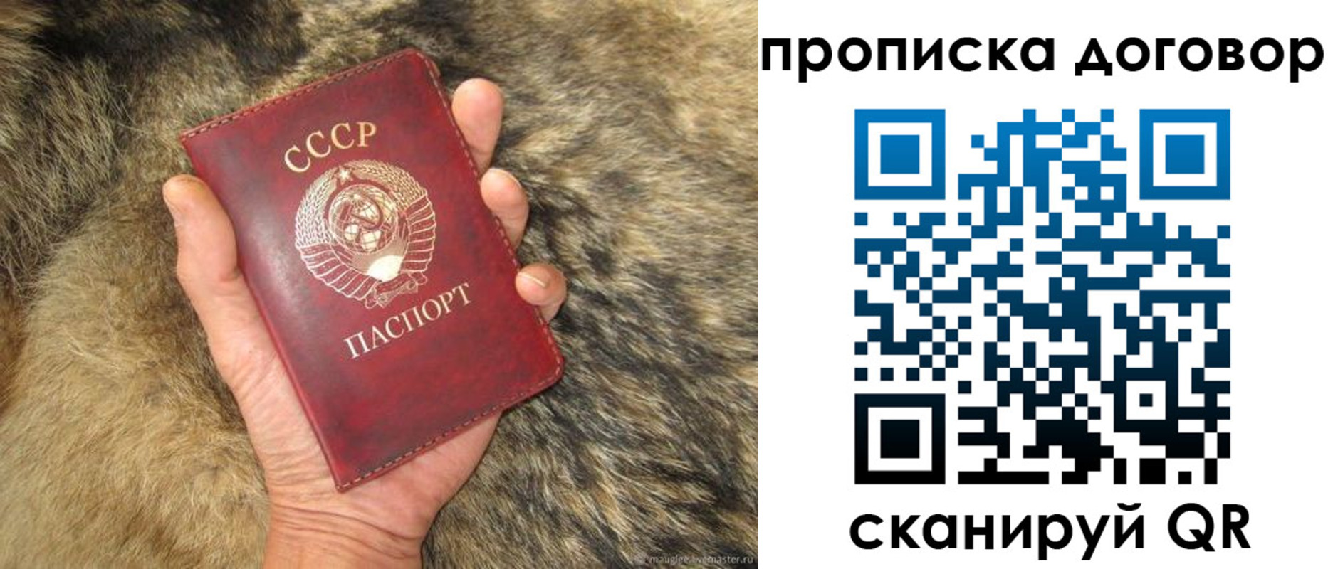 прописка регистрация в Липецкая области